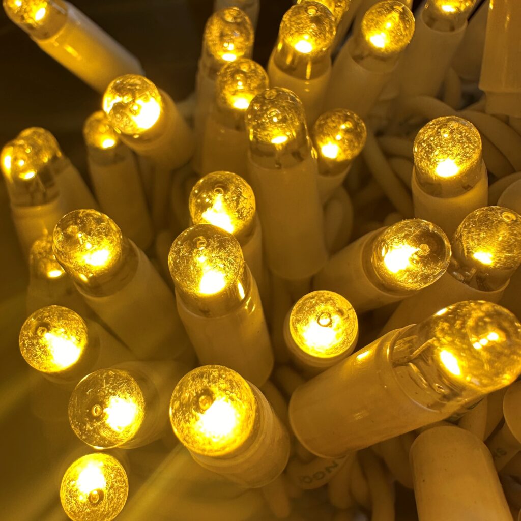 Fairy Lights MIA Party Hire