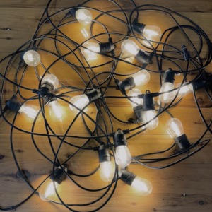 Festoon Lights