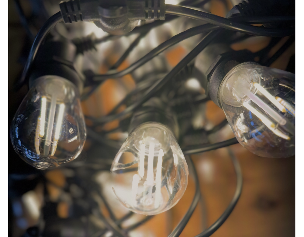 Festoon Lights - Festoon Lights - Image 2