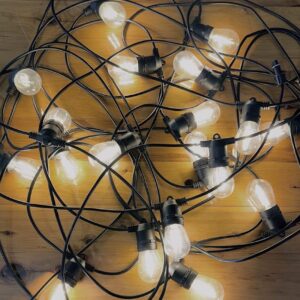 Festoon Lights